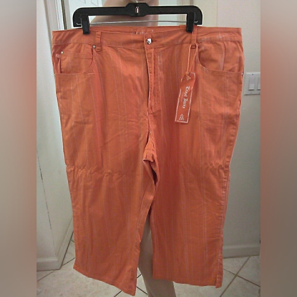 NWT CREST JEANS Orange Pinstripe Capri Pants DECORATIVE POCKETS SZ. 23/24
